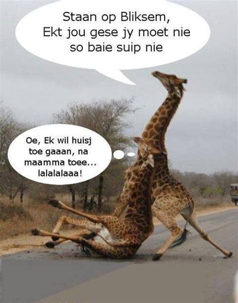 funny african pictures|funniest afrikaans jokes.